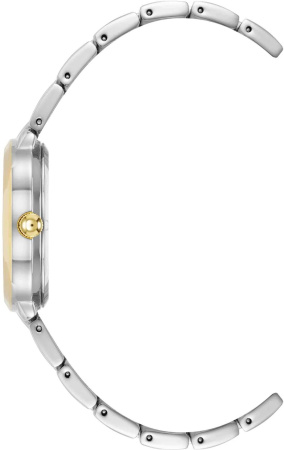 Часы наручные Anne Klein AK/5021SVTT