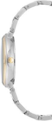 Часы наручные Anne Klein AK/3169SVTT