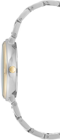Часы наручные Anne Klein AK/3169SVTT Часы наручные Anne Klein AK/3169SVTT