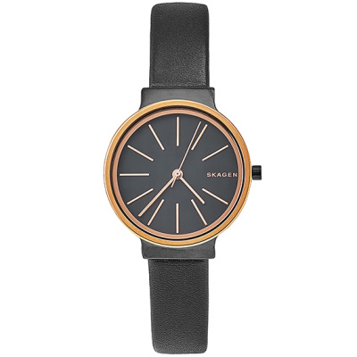 Часы наручные Skagen SKW2480
