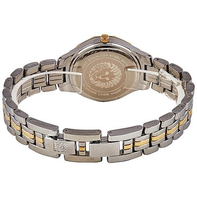 Часы наручные Anne Klein AK/3491SVTT