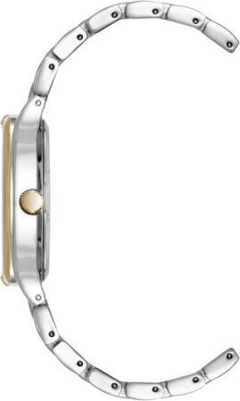 Часы наручные Anne Klein AK/5177SVTT