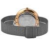 Часы наручные Skagen SKW2584