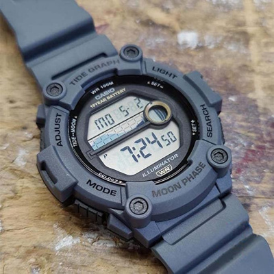 Часы наручные Casio WS-1300H-8AVEF