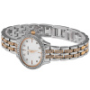 Часы наручные Anne Klein AK/2677MPRT