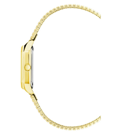 Часы наручные Anne Klein AK/3980BNGB