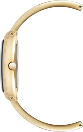 Часы наручные Anne Klein AK/5238BKGB