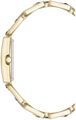 Часы наручные Anne Klein AK/4156PYGB