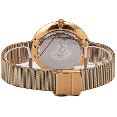 Часы наручные Skagen SKW2142