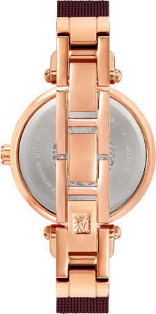 Часы наручные Anne Klein AK/3000RGBY 