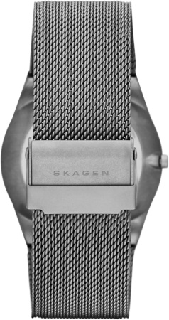 Часы наручные Skagen SKW6078