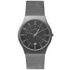 Часы наручные Skagen 233XLTTM Часы наручные Skagen 233XLTTM
