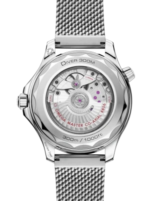 Часы наручные Omega 21030422006002  