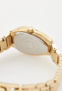 Часы наручные Anne Klein AK/5176CHGB