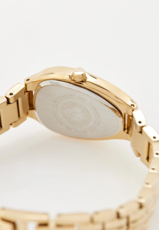 Часы наручные Anne Klein AK/5176CHGB