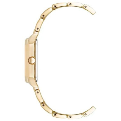 Часы наручные Anne Klein AK/3774ABGB