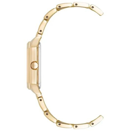 Часы наручные Anne Klein AK/3774ABGB