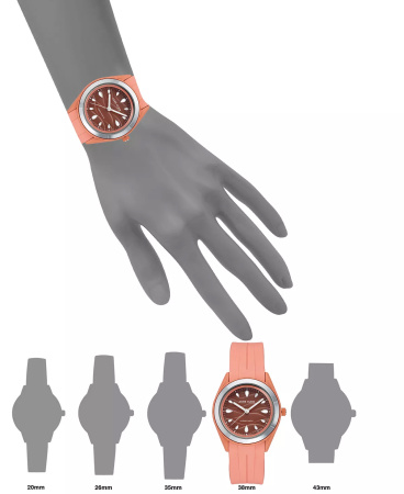 Часы наручные Anne Klein AK/3913SVCO 