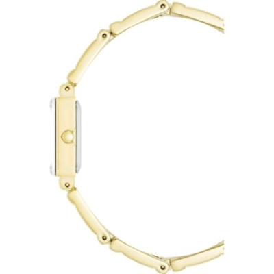 Часы наручные Anne Klein 10/4898GPST