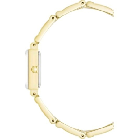 Часы наручные Anne Klein 10/4898GPST