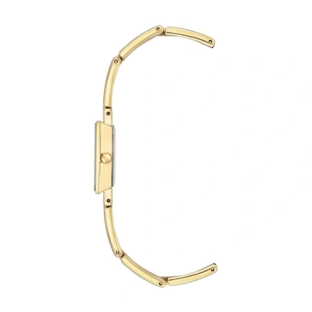 Часы наручные Anne Klein AK/3944CHGB