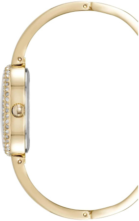 Часы наручные Anne Klein AK/5074GPST