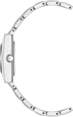 Часы наручные Anne Klein AK/5073SVSV