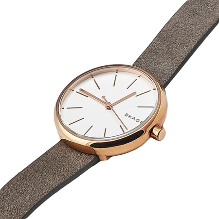 Часы наручные Skagen SKW2644