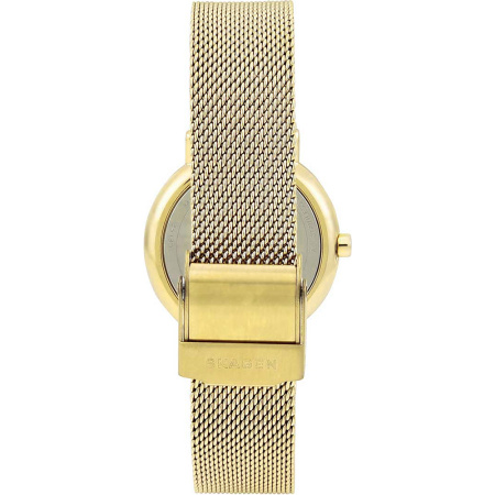 Часы наручные Skagen SKW2693 