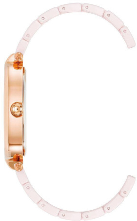 Часы наручные Anne Klein AK/5012RGBH