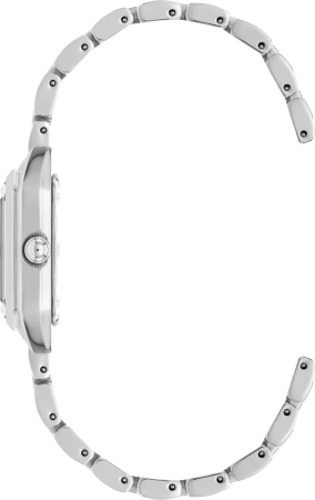 Часы наручные Anne Klein AK/5019SVSV