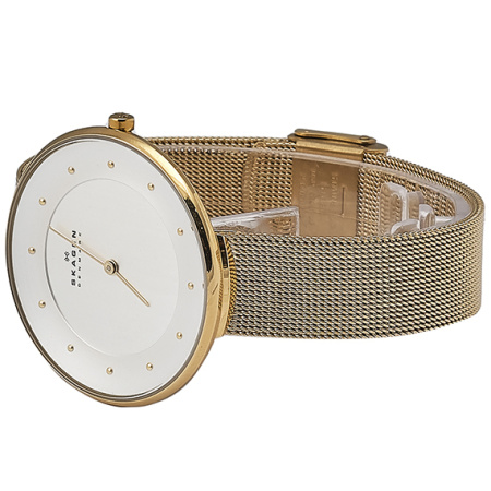 Часы наручные Skagen SKW2141