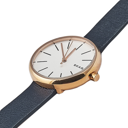 Часы наручные Skagen SKW2592