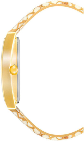 Часы наручные Anne Klein AK/4028CHSN Часы наручные Anne Klein AK/4028CHSN