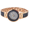 Часы наручные Anne Klein AK/2512GYRG