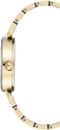 Часы наручные Anne Klein AK/3844BKGB 