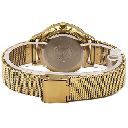 Часы наручные Anne Klein AK/3722BMGB