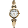 Часы наручные Anne Klein AK/1170MPGB