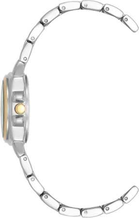 Часы наручные Anne Klein AK/4167WTTT