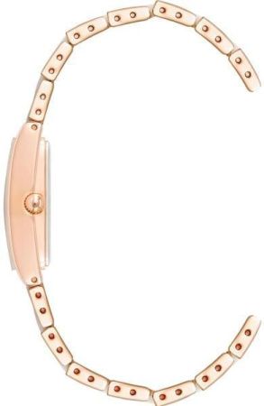 Часы наручные Anne Klein AK/3998LPRG