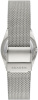 Часы наручные Skagen SKW3080