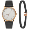 Часы наручные Skagen SKW1102