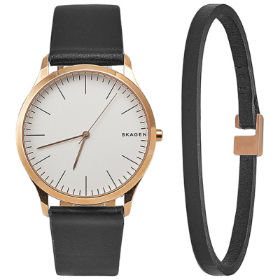 Часы наручные Skagen SKW1102