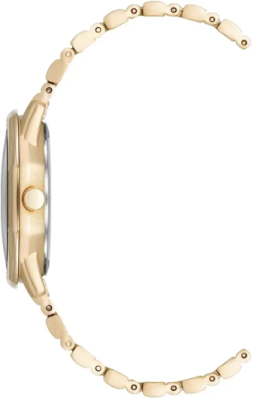 Часы наручные Anne Klein AK/5028MPGB
