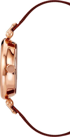 Часы наручные Anne Klein AK/3000RGBY 