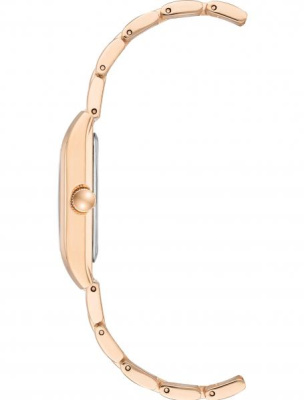 Часы наручные Anne Klein AK/3954NVRG