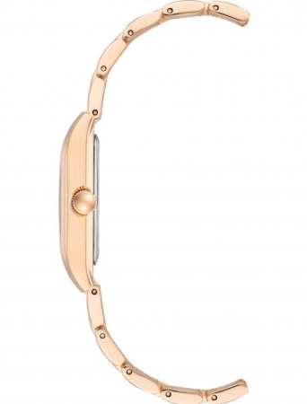 Часы наручные Anne Klein AK/3954NVRG