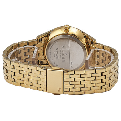 Часы наручные Skagen SKW2389