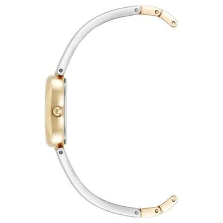 Часы наручные Anne Klein AK/5427MPTT