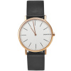 Часы наручные Skagen SKW6430